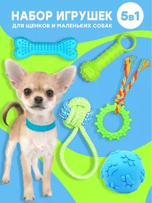 Игрушки для собак мелких и средних пород, для щенков набор Fan Pets  76764519 купить за 506 ₽ в интернет-магазине Wildberries