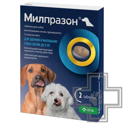 Фигурки собак (породы) 639А: цена 90 грн - купить Игровые наборы на ИЗИ |  Днепр