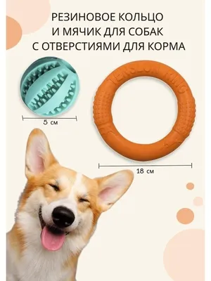 Металлическая клетка для маленьких собак весом до 12 кг Ferplast SUPERIOR  75, 77x51x55 см | Купить в зоомагазине murchyk.com.ua