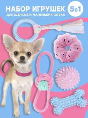 Набор игрушек для собак - купить с доставкой по выгодным ценам в  интернет-магазине OZON (618596454)