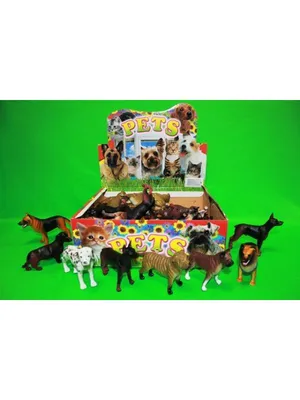 Fan Pets Игрушки для щенков и собак мелких и средних пород набор 5в1