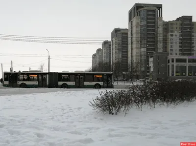 Зима и автобусы. — DRIVE2