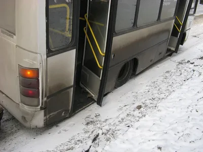 Водитель автобуса выгнал беременную вартовчанку на мороз - 15 января 2024 -  86.ru