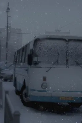 Директор дептранса рассказал, какая температура должна держаться зимой в  омских автобусах — Автоновости Омска
