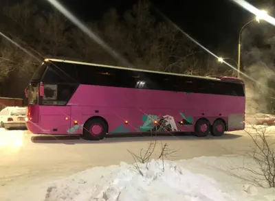 Краснотурьинский автобус столкнулся с тоннаром на трассе. 5 пассажиров  пострадали, водитель автобуса — погиб — Заря Урала