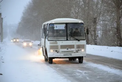 В Карелии перевернулся автобус со студентами из Севастополя — РБК
