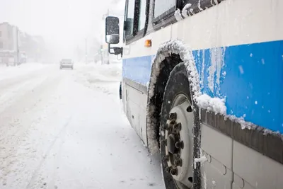 В Калужской области полгода не могут найти водителя школьного автобуса -  Статьи, аналитика, репортажи - Новости - Калужский перекресток Калуга