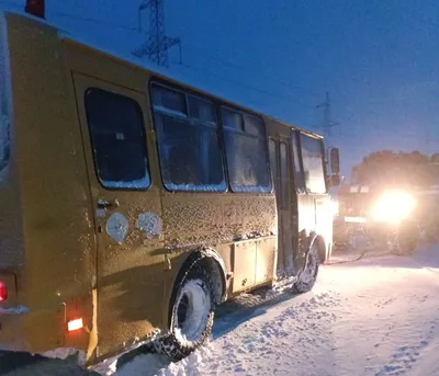 Воронежцы выломали дверь автобуса в попытке залезть в него