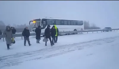В Ленинградской области в ДТП с автобусом пострадали 13 человек - РИА  Новости, 28.12.2023