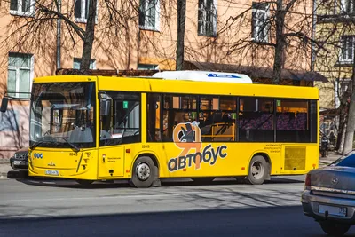 Аренда автобуса с водителем на 45, 50, 55 мест в Санкт-Петербурге