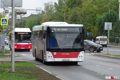 Аренда автобуса в «Козырев и К», Санкт-Петербург