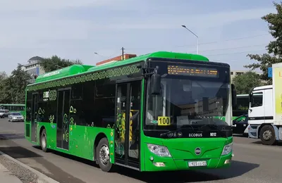 Аренда автобуса с водителем в Санкт-Петербурге (СПб) от Autoproject