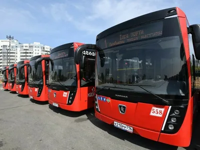 Трансфер и аренда автобуса Yutong 6122 49 мест (с туалетом) белого цвета,  2019-2023 года с водителем