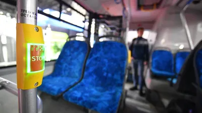 Пожар автобуса: последние новости на сегодня, самые свежие сведения |  fontanka.ru - новости Санкт-Петербурга