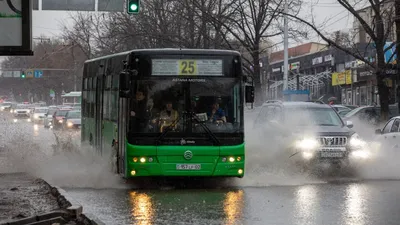 42 новых автобуса для модернизации транспорта в Благовещенске