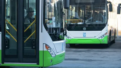 Аренда автобуса ПАЗ с водителем, цена в Оренбурге от компании Кортеж Сервис  56