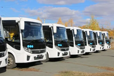 Получить права на автобус можно будет только с опытом вождения - Российская  газета