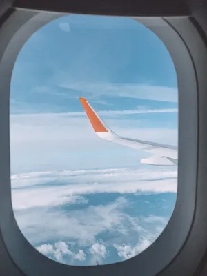 Вид из иллюминатора самолёта | Пикабу