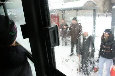 Надоела пробка: пассажир автобуса вышел в окно