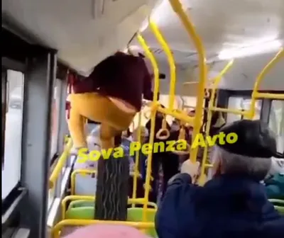 Видео: в Пардубице пьяный мужчина разбил окно в автобусе и выпал из него,  после чего повредил