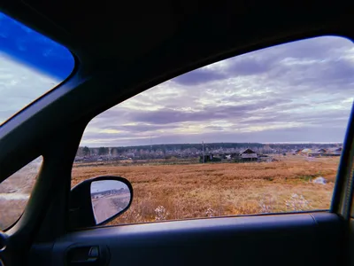 Лес из окна автомобиля - 65 фото