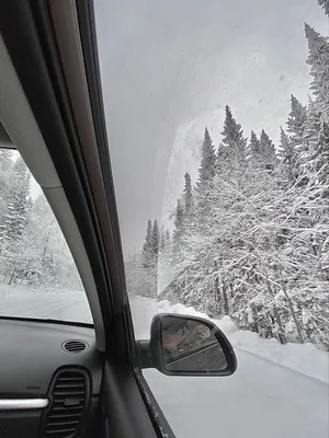 Водителя хотят оштрафовать за открытое окно в машине - Quto.ru