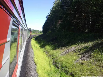 Сибирь из окна поезда (много фото) | Соло - путешествия | Дзен
