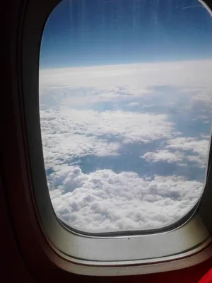 Фотографии из окна самолёта — 2019