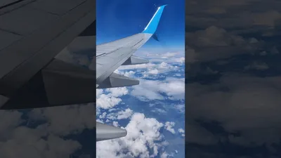 Вид из окна самолёта [26] — Фото