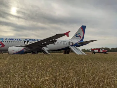 Международный аэропорт Красноярск имени Д.А. Хворостовского - ✈Зачем  поливают самолёты зимой? ⠀ Противооблединительная обработка самолёта  (деайсинг) — это процесс, с которым сталкиваются многие вылетающие из  аэропорта Красноярск зимой. ⠀ Пассажиры ...