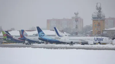 Важные моменты путешествия зимой на самолете с детьми - Моя газета | Моя  газета