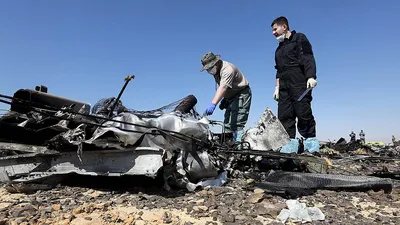Мы не хотели их отпускать\": кто виновен в авиакатастрофе над Синаем - РИА  Новости, 31.10.2020