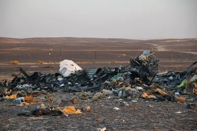 Погибший рейс: пассажиры разбившегося A321 в Египте — РБК