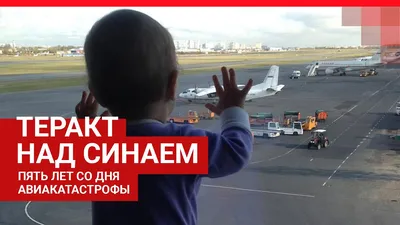 Крушение российского самолета в Египте: все подробности (постоянное  обновление) - Последние мировые новости | Сегодня