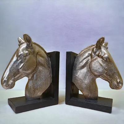 Ошейник для лошади - Portalhipico.com Лошади и верховая езда