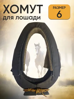 Хомут для коня. Конная упряжь. Хомут для лошади (ID#1650903630), цена: 2067  ₴, купить на Prom.ua