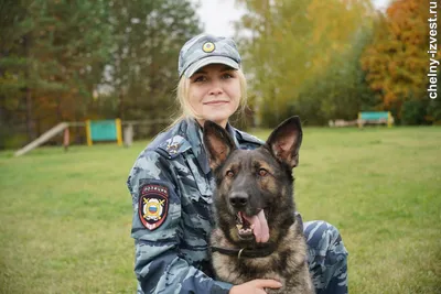 Дрессировка собак любых пород в Одессе - Kinolog Odessa