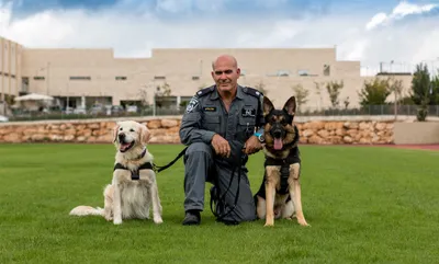 Назвать собаку в честь реки - не по-полицейски\": как кинологи учат собак  спасать жизни