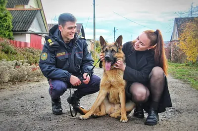 Собаки на границе: как живут и работают собаки Гродненской таможни