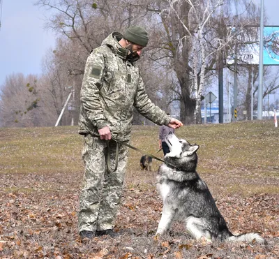 В Орле инспектор-кинолог со служебной собакой разыскали ушедшего из дома  4-летнего ребёнка