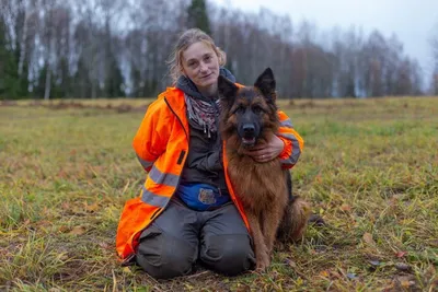 Пес-холерик – лучший друг кинолога»: как на Кубани готовят собак для МЧС и  МВД