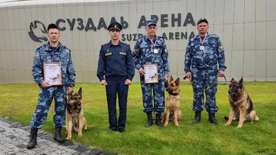 Поезда кинолога с собакой видеоматериал. Видео насчитывающей млекопитающее  - 186936298