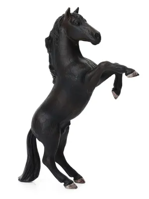 🌀🍁 красивый черный конь мустанг …» — создано в Шедевруме