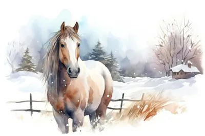 Зимняя фотосессия невесты | Лошадь и девушка фотография, Лошади, Белая  лошадь