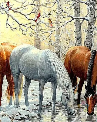 лошадь, запряженная на русских сани зимой, морозный день ждет хозяина Stock  Photo | Adobe Stock