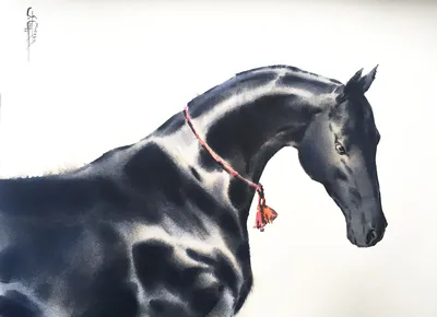 лошадь, лошадь, белая лошадь png | PNGEgg