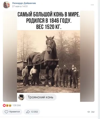 Губернатор Владимирской области подарил Лукашенко коня - 16.05.2023,  Sputnik Беларусь