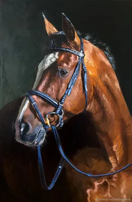 Портрет коня \"Красавчик\", картина с лошадью в интернет-магазине Ярмарка  Мастеров по цене 9000 ₽ – OHYHYRU | Картины, Солнечногорск - доставка по  России