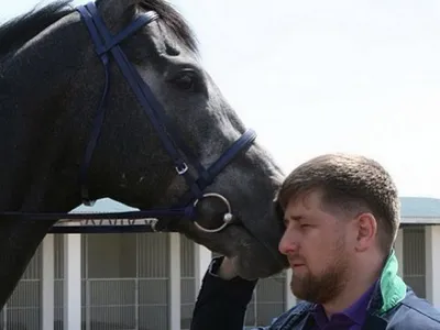 Он лечил мое разбитое сердце\": как завести коня в городе и научить его  писать картины - KrasnodarMedia.ru