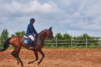 Виды конного спорта | Верховая езда | Походы на лошадях